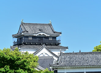 Fototapeta premium 岡崎城 竹千代通りからの眺め 愛知県岡崎市