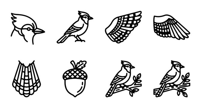 Simple Blue Jay Icons, Bird Wings, Acorn Vector Elements Set