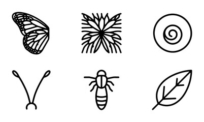 Minimalist Nature Icons: Butterfly Wing, Flower, Snail, Antennae, Bee, Leaf Vector Set © Touhidul