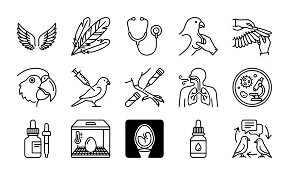 Avian Veterinary Icons, Bird Care Symbols, Pet Health Graphics, Veterinary Medicine Line Art