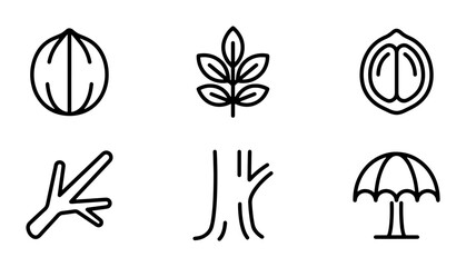 Nature Icons Set: Walnut, Leaf, Branch, Tree Trunk, Acorn, Outline Graphics © Ashikur