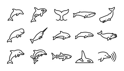 Whale and Dolphin Icons Set, Marine Mammal Vector Collection, Ocean Wildlife Line Art © AbdullahAl