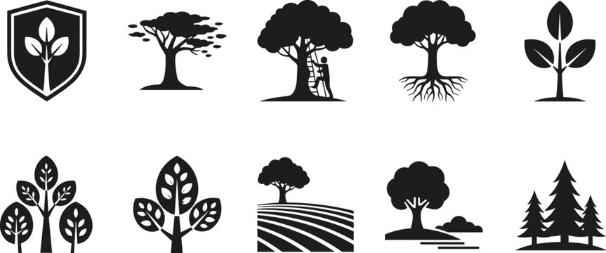 Tree icons, shield emblem, wide canopy tree, ladder tree, roots tree, three leaves plant, coniferous trees, agriculture, landscape, ecology