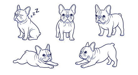 Obraz premium Set of five line art french bulldog illustrations in various poses, sleeping, sitting, playful, and alert, on a white background