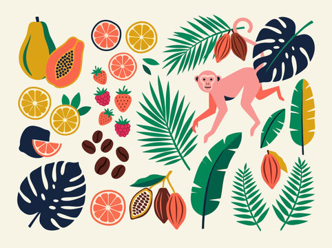 Tropical Jungle Elements Illustration Set with Monkey, Papaya, Citrus, Coffee Beans, Cacao Pods, and Exotic Palm Leaves