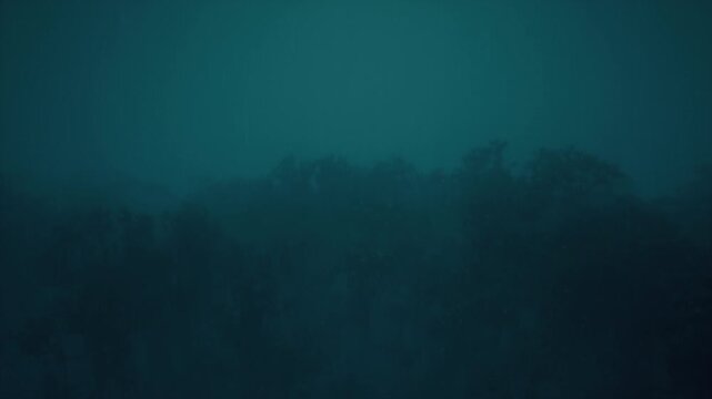 Rain In The Forest 31