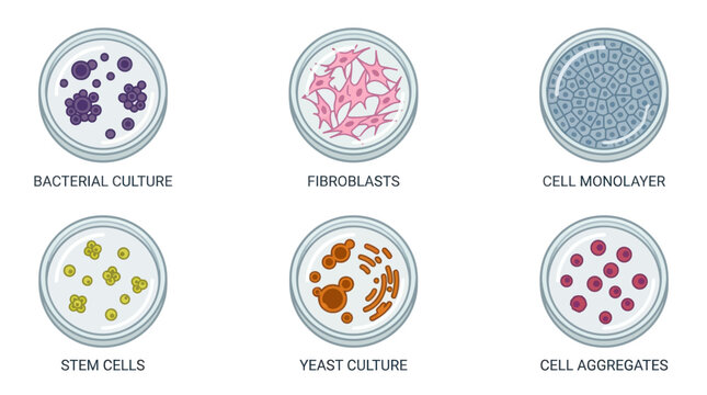 Microbiology Cell Culture and Bacteria Petri Dish Icons