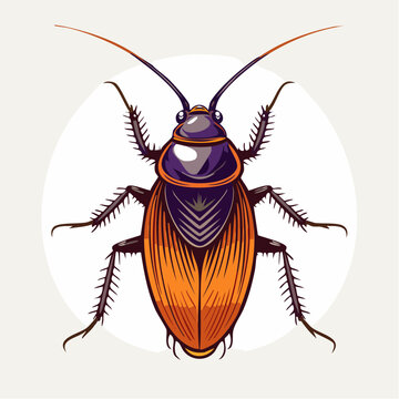 Illustration of a Cockroach
