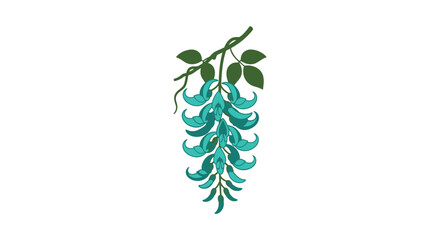 Jade Vine Botanical Illustration © beatrice