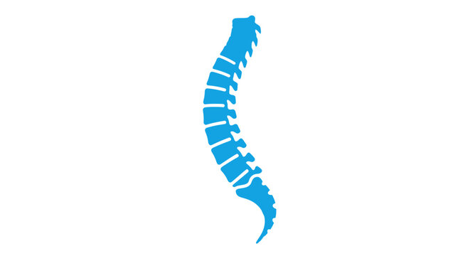 Blue Human Spine Icon on White Background, Medical Symbol