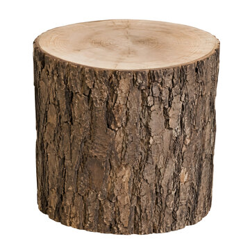 Wood Log Stump