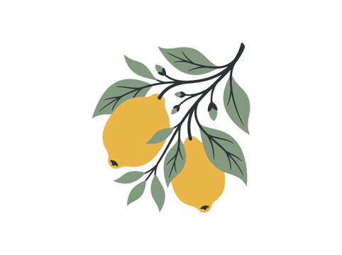 Minimalist Lemon Branch Vector Illustration with Yellow Citrus Fruit and Green Leaves on White Background