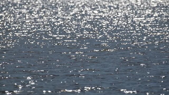 Waves on a lake or sea on a windy, sunny day, glittering and reflecting light. Nature background.