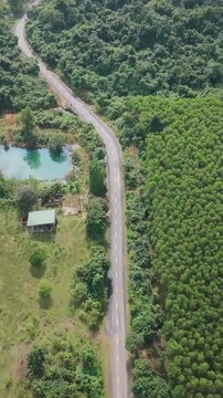 Vertical screen Aerial Winding Road Near Turquoise Pond Phong Nha Vietnam, Small House By Bamboo Grove, Lush Green Hillside, Sunlit Water, Peaceful Rural Atmosphere, Gentle Curves Inviting