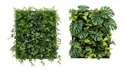 Vertical wall greenery planters with dense lush leaf arrangement © QBeStock