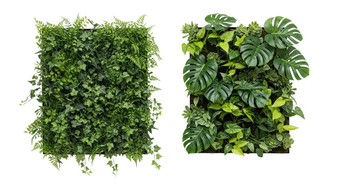 Vertical wall greenery planters with dense lush leaf arrangement