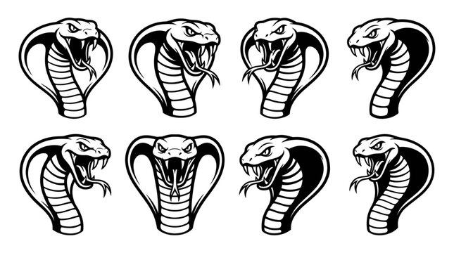 Fierce Cobra Snake Heads Set - Aggressive Reptile Iconography
