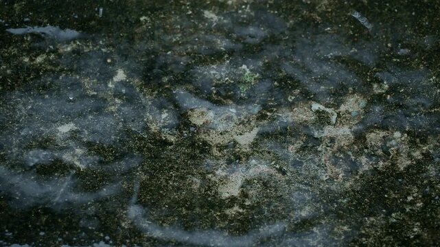 Rain on floor wall cement street, effect storm fall rainy absatract nature spash on grey concrete, blur drop water background, environment ecosystem or broken heart concept.