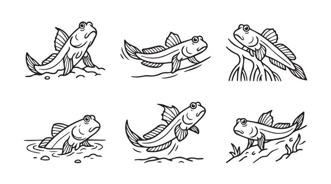 Set of mudskipper fish hand drawn illustrations with mudskipper creature illustration amphibious wildlife mangrove behavior standing swimming monochrome engraving composition collection