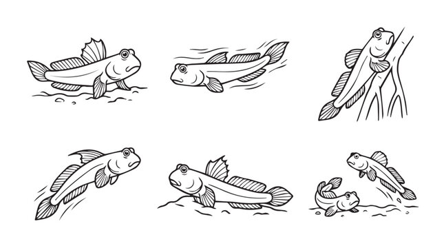 Hand drawn illustrations of mudskipper fish in action with mudskipper creature illustration amphibious wildlife mangrove swimming movement monochrome engraving composition collection