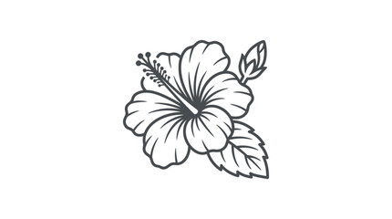 Hibiscus flower with leaves and buds line drawing. © Ucul