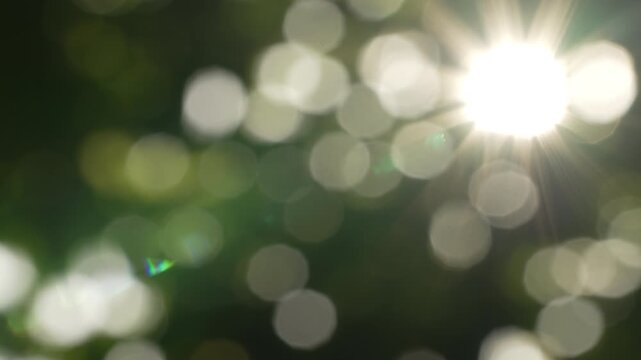 Asymmetric sharp sunburst starburst with floating camera bokeh circles, cinematic lens flare macro texture