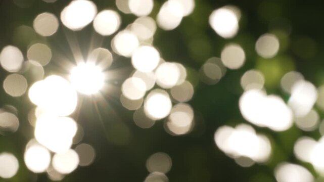 Soft light breeze bokeh nature divider with left side sunburst, creative copy space overlay