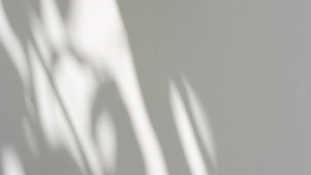 Sharp contrast tropical plant shadow on neutral wall, aesthetic shadow overlay texture