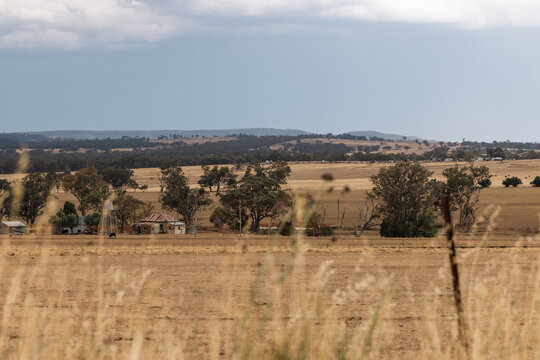 Rural Australian farm landscape with dry golden fields and distant rolling hills