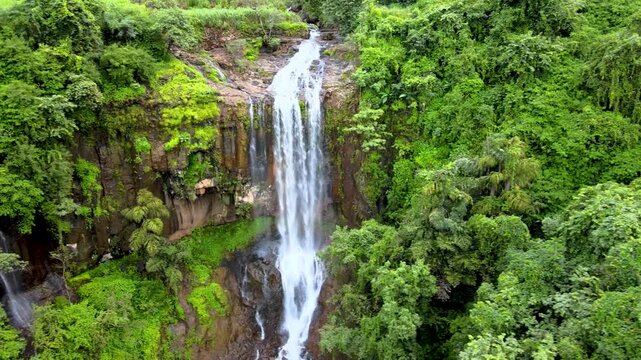 Lingmala Waterfall aerial drone view during monsoon in Mahabaleshwar
Drone shot of Lingmala Waterfall surrounded by lush green forest