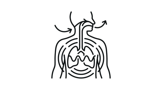 Human respiratory system icon showing lungs and breathing.