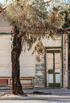 Old rustic doorway and tree with footpath