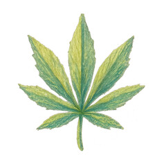 Obraz premium PNG Hand-drawn green leaf illustration.