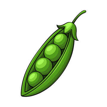 A stylized vector illustration of an open green pea pod showing four peas inside, isolated on a Transparent background