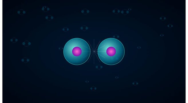 Cell division biology animation: mitosis and cellular animation