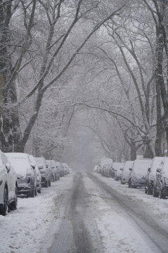 Snow Covered Urban Winter Scene
