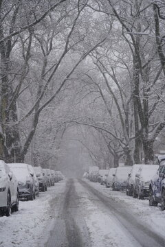 Snow Covered Urban Winter Scene