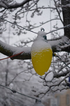 Seasonal Holiday Decoration Detail