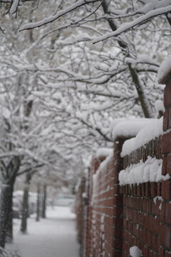 Snow Covered Urban Winter Scene