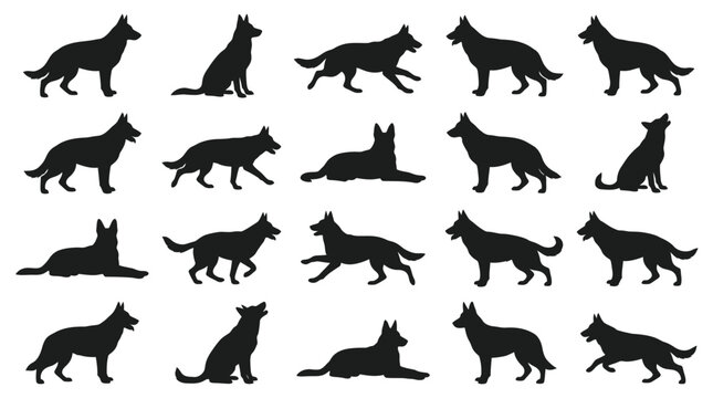 German Shepherd Dog Silhouette Vector Set in Various Poses and Actions