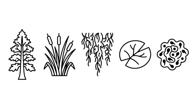 Various nature plant aquatic life ecosystem icons illustrate environmental diversity and biological elements in a simple outline style.