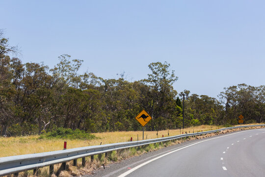 New England highway with kangaroo warning sign along barrier beside road