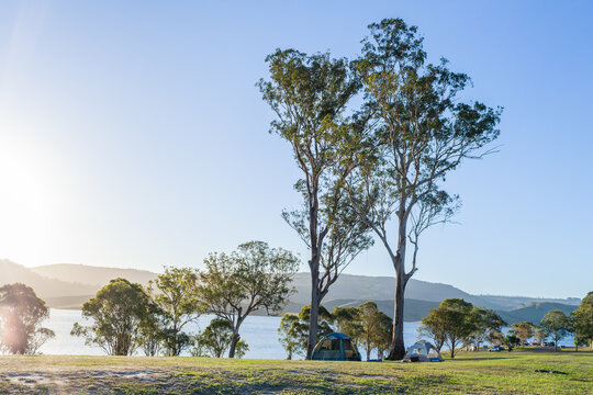 Tents set up on hillside at campground by lake in inland Australia in the Hunter Valley