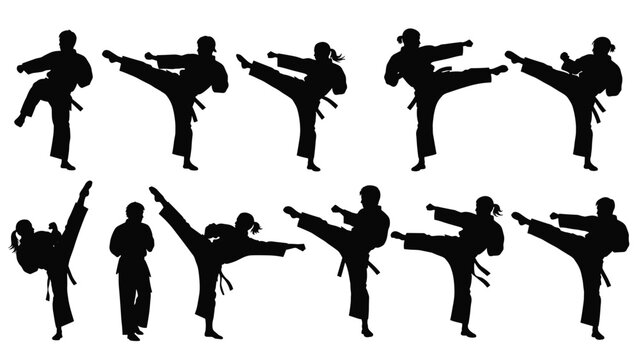 Collection of black silhouettes showing people in various martial arts and karate combat poses on a white background.