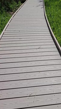 Looking down perspective walking on wooden boardwalk in nature park vertical video