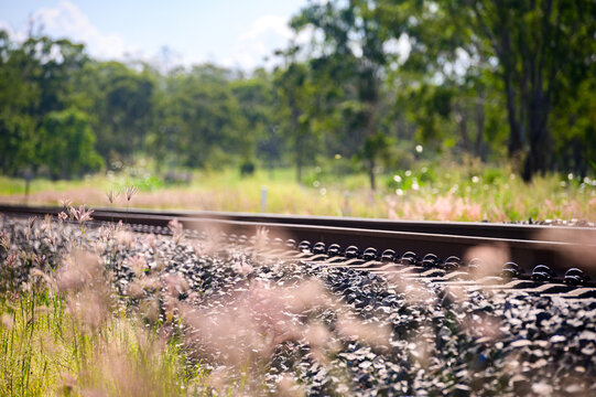 Rail tracks in Queensland countryside during summer