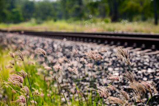 Rail tracks in Queensland countryside during summer