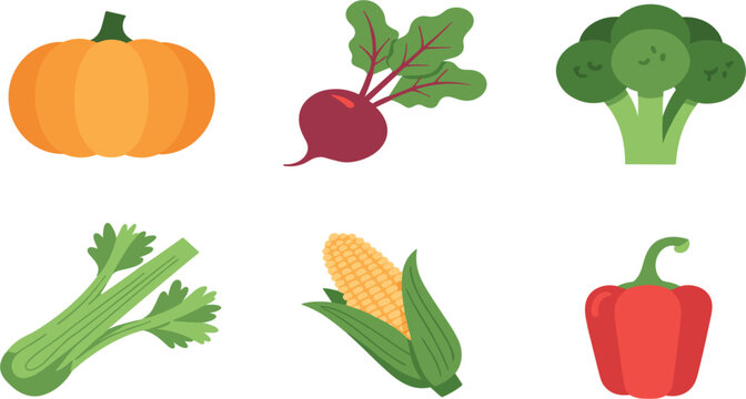 Fresh vegetables vector, pumpkin beet broccoli celery corn red pepper, healthy farm produce illustration clipart