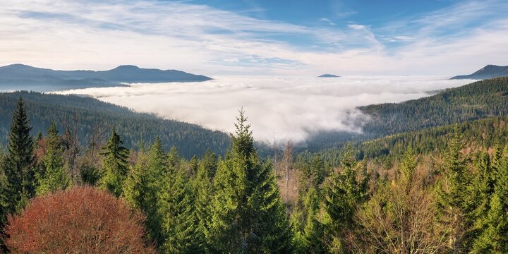 View from the Hindenburgkanzel over endless forests in autumn with valley mist, Bavarian Forest, Lower Bavaria, Bavaria, Germany