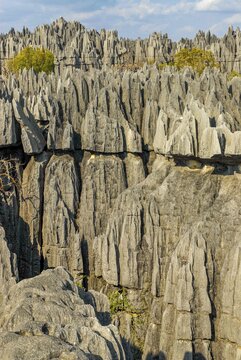 Unesco world heritage sight Tsingy de Bemaraha Strict Nature Reserve, Madagascar, Indian Ocean